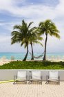 Sillas de piscina y palmeras, Isla Gran Caimán - foto de stock