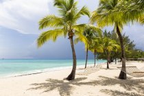 White sand beach, turquoise sea and palm trees. — Stock Photo