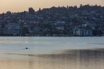 Tripulación corredores remo bote doble scull en Lake Union al amanecer, Seattle, Washington, EE.UU. . - foto de stock