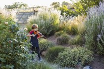 Niño de edad elemental tocando el violín afuera en el jardín - foto de stock