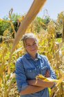 Portrait de jeune fille regardant à la caméra dans le champ de maïs — Photo de stock
