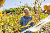 Portrait de jeune fille regardant à la caméra dans le champ de maïs — Photo de stock
