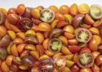 Gros plan sur les tomates cerises héritières tranchées, cadre complet — Photo de stock