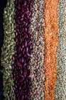 Großaufnahme von Reihen getrockneter Hülsenfrüchte und Samen in verschiedenen Farben. — Stockfoto