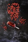 High angle close-up of Goji berries and metal scoop on black background. — Stock Photo
