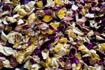 High angle close-up of dried flower petals in full frame. — Stock Photo