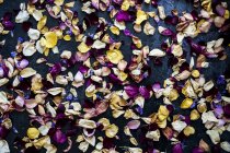 High angle close-up of dried flower petals on black surface. — Stock Photo