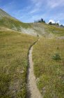 Pacific Crest Trail in alpine meadow, Goat Rocks Wilderness, Gifford Pinchot National Forest, Washington, EE.UU. - foto de stock