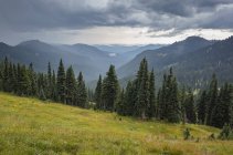 Storm clouds over Goat Rocks Wilderness alpine meadow, Gifford Pinchot National Forest, Washington, USA — Stock Photo