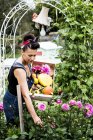 Frau steht im Garten, hält Holzkiste mit Gemüse, pflückt rosa Dahlien. — Stockfoto