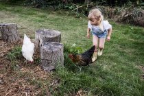 Menina loira e galinhas de pé ao lado de tocos de árvore no jardim . — Fotografia de Stock