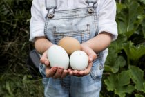 Close-up of girl standing outdoors, holding freshly laid eggs in hands. — Stock Photo