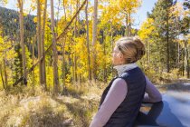 Bionda escursionista femminile guardando intorno agli alberi di pioppo tremulo autunno con foglie giallo brillante . — Foto stock