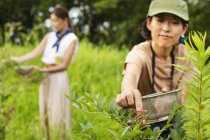Two Japanese women picking berries in green field. — Stock Photo