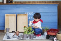 Japonês menino sentado fora de uma fazenda loja, regando flores . — Fotografia de Stock