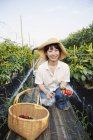 Femme japonaise portant un chapeau agenouillé dans un champ de légumes, souriant à la caméra, panier avec des poivrons frais . — Photo de stock