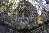 Ankor Wat, un templo histórico jemer del siglo XII y Patrimonio de la Humanidad de la UNESCO. Piezas y piedra tallada con grandes raíces que se extienden a través de los trabajos de piedra.. - foto de stock