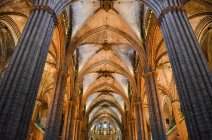Vista interior de bajo ángulo del salto, Catedral de la Santa Cruz y Santa Eulalia, Barcelona, Cataluña, España.. - foto de stock