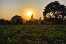 Pôr do sol sobre stupa distante do temple em Bagan, Myanmar. — Fotografia de Stock