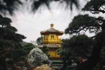 Зовнішній вигляд золотого храму, оточеного деревами, хмарочосами на відстані, Гонконг, Китай. — стокове фото