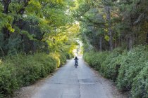 Вид ззаду молодого хлопчика, що їде на велосипеді по сільській дорозі — стокове фото