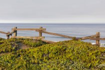 Ice plant ground cover by old wooden fence, ocean in distance — Stock Photo