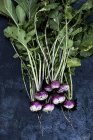 High angle close up of a bunch of freshly picked pink turnips on grey background. — Stock Photo