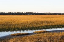 View across the salt marsh and wildlife reserve on a coastal island. — Stock Photo