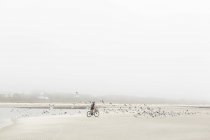 Дівчинка - підліток їздить на піску на пляжі (острів Сен - Сімонс, Джорджія). — стокове фото