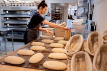 Woman wearing apron standing in an artisan bakery, shaping sourdough loaves for baking. — Stock Photo