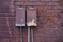Electrical transmission boxes against painted brickwork. — Stock Photo