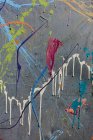 Цветные брызги граффити на городской стене — стоковое фото