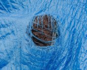 Gros plan bâche bleue usée avec trou en lambeaux au centre — Photo de stock