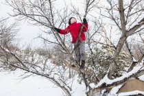 Menino de seis anos de idade em uma jaqueta vermelha escalando uma árvore no inverno — Fotografia de Stock