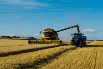 Combine cosechadora y tractor cosechando un cultivo en un campo en verano . - foto de stock