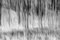 Размытые осиновый лес и луг рядом с Ливенвортом, штат Вашингтон — стоковое фото