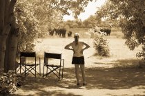 Niña de 12 años mirando elefantes, Reserva Moremi, Botswana - foto de stock