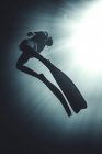 Vue sous-marine à faible angle du plongeur portant une combinaison humide et des palmes, la lumière du soleil filtrant par le haut. — Photo de stock