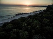 Groupe de jeunes rassemblés sur une plage au coucher du soleil — Photo de stock