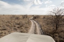 Safari veicolo su una strada serpeggiante attraverso il paesaggio — Foto stock