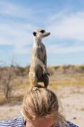 12-jähriges Mädchen mit Erdmännchen auf dem Kopf, Kalahari Wüste, Makgadikgadi Salzpfannen, Botswana — Stockfoto