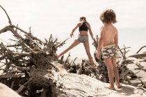 Brother and sister climbing on giant driftwood tree. — Stock Photo