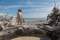5-летний мальчик балансирует на гигантском дрифтвуде, Джорджия — стоковое фото