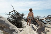 5-jähriger Junge balanciert auf riesigem Treibholz-Baum, Georgien — Stockfoto