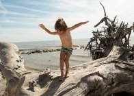 5-jähriger Junge balanciert auf riesigem Treibholz-Baum, Georgien — Stockfoto
