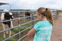 Adolescent fille regardant cheval dans paddock — Photo de stock