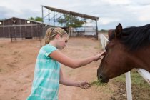 Adolescent fille regardant cheval dans paddock — Photo de stock