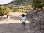 Vierjähriger Junge wandert in ländlicher Landschaft — Stockfoto