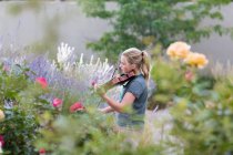 Дівчина-підліток стоїть серед квітучих троянд і чагарників, граючи на скрипці — стокове фото