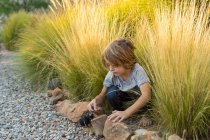 Menino de 4 anos jogando em grama alta ao pôr do sol — Fotografia de Stock